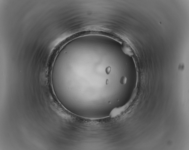 X0000090910971200707301430