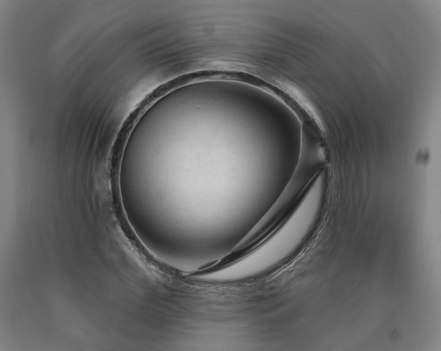 X0000090910972200707301430