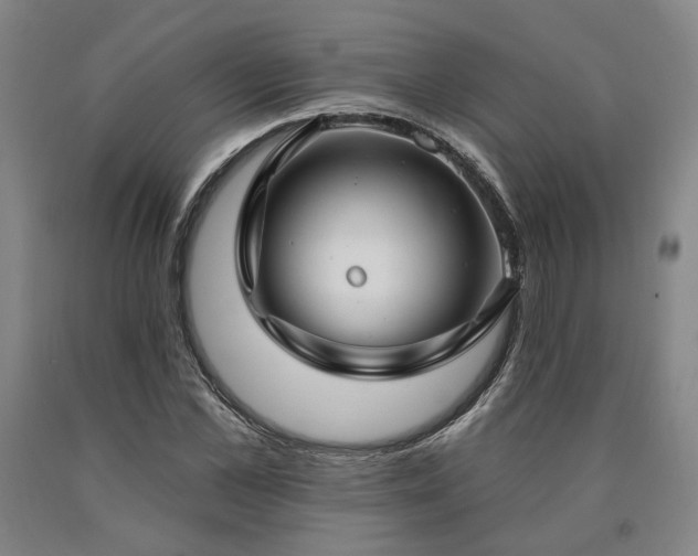 X0000090910973200707301430