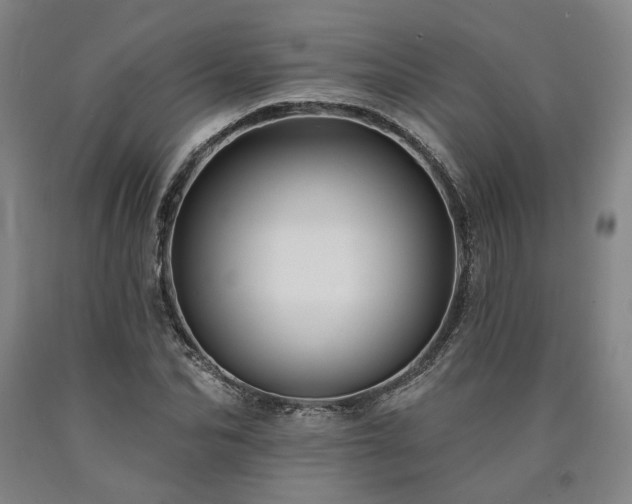 X0000090910974200707301430