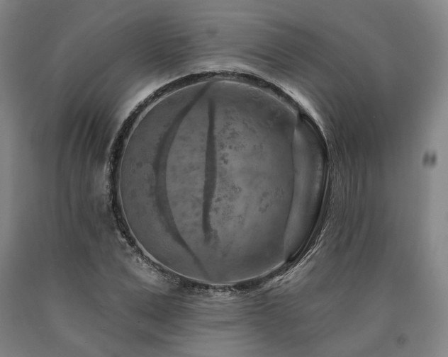 X0000090910975200707301430