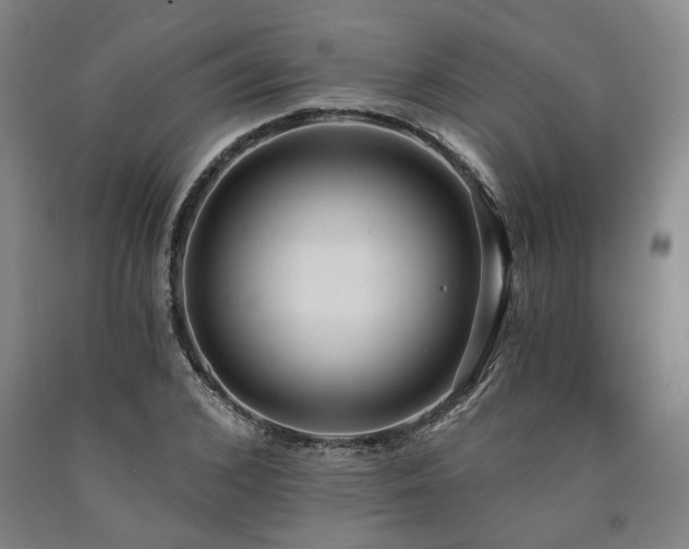 X0000090910976200707301430