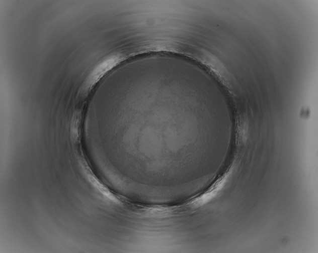 X0000090910977200707301430