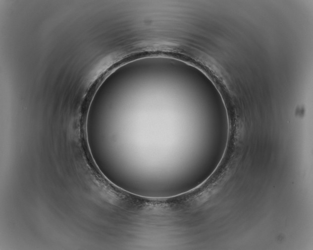 X0000090910978200707301430