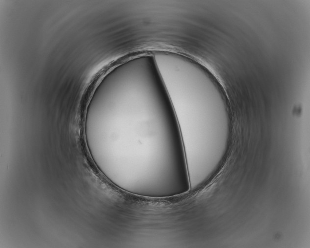 X0000090910979200707301430