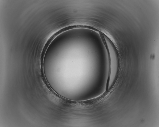 X0000090910980200707301430