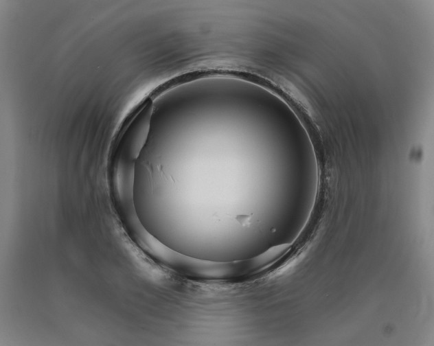 X0000090910981200707301430