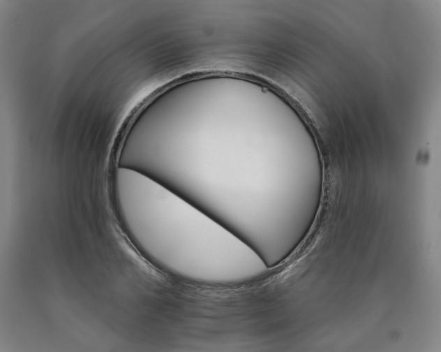 X0000090910982200707301430