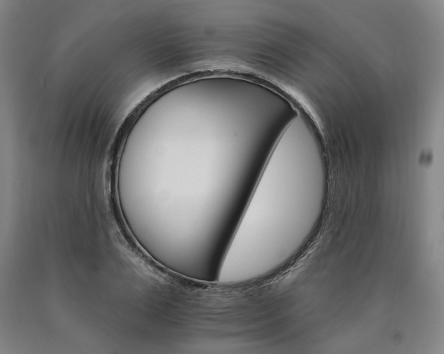 X0000090910983200707301430