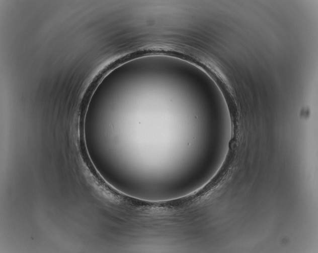 X0000090910984200707301430