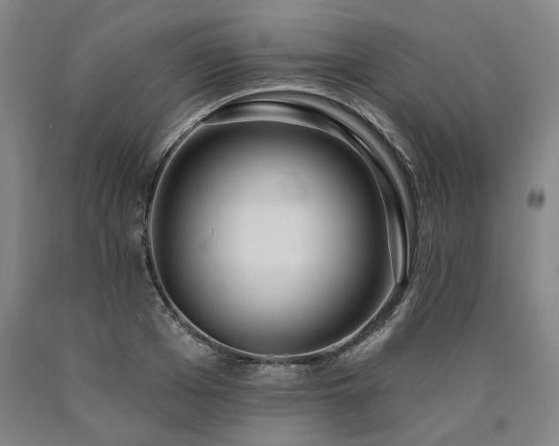 X0000090910985200707301430