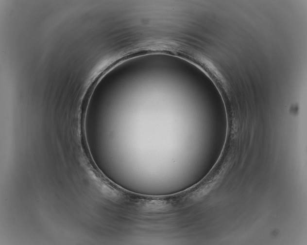 X0000090910986200707301430