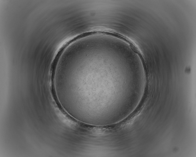 X0000090910987200707301430