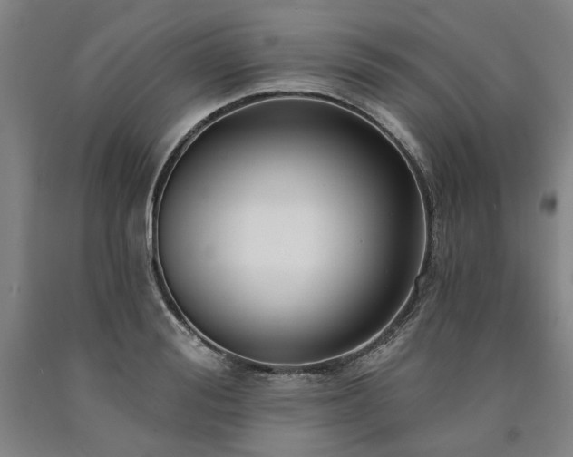 X0000090910988200707301430