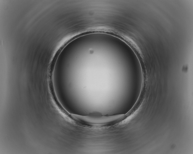 X0000090910989200707301430