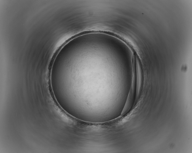 X0000090910990200707301430