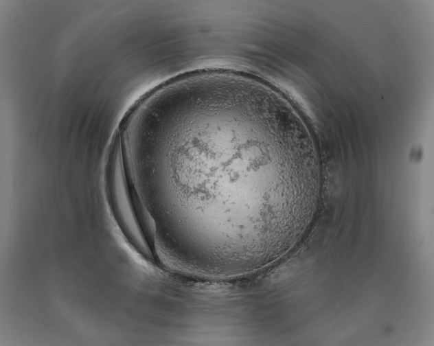 X0000090910991200707301430