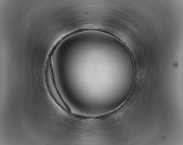 X0000090910992200707301430