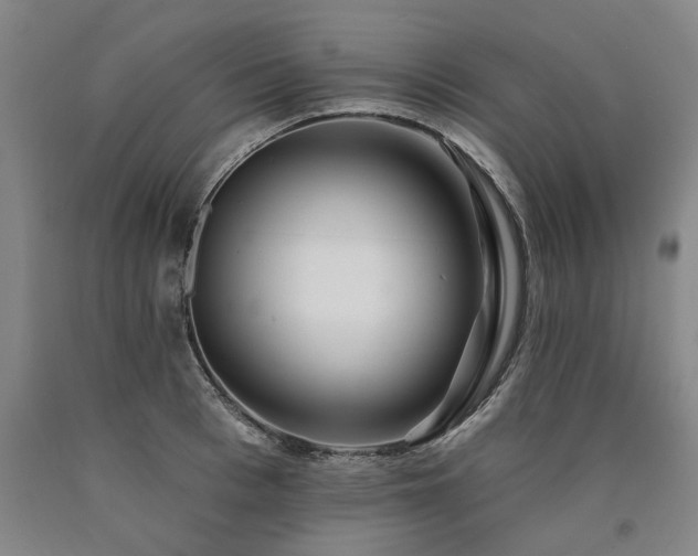 X0000090910993200707301430