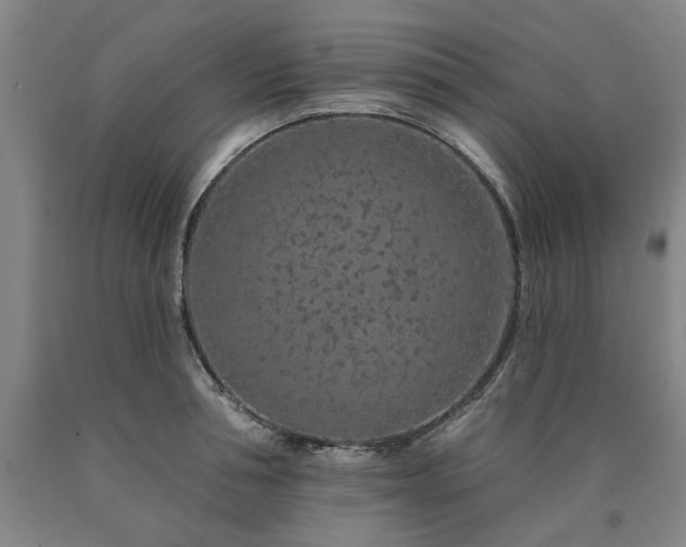 X0000090910994200707301430