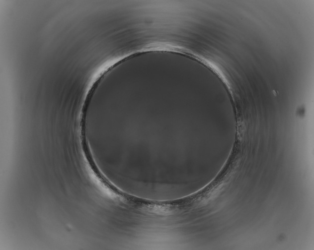 X0000090910995200707301430