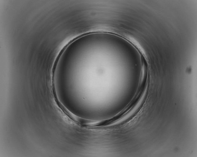 X0000090910996200707301430