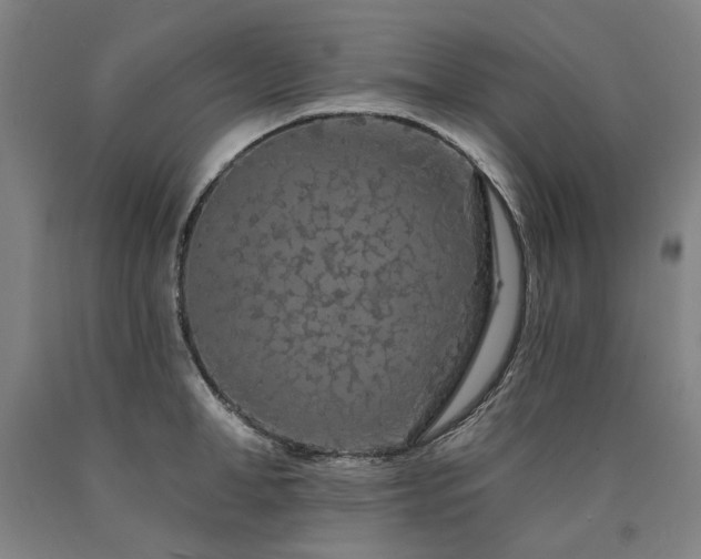 X0000090910998200707301430