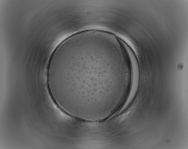 X0000090910999200707301430