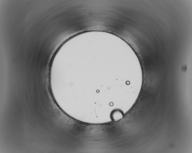 X0000090911000200707301430