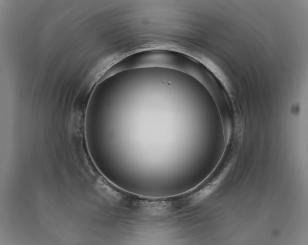 X0000090911001200707301430