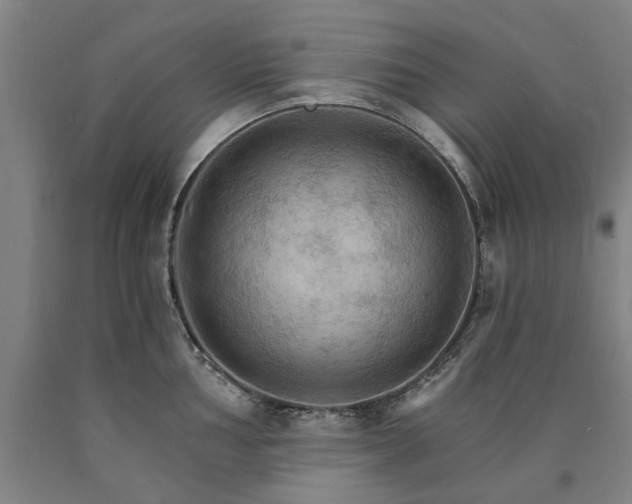 X0000090911002200707301430