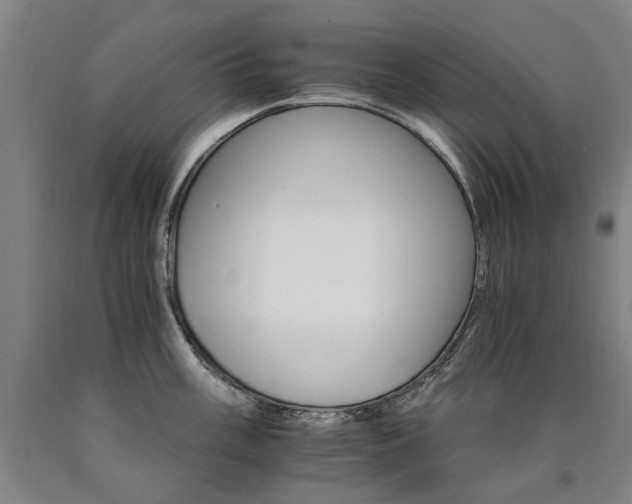 X0000090911003200707301430