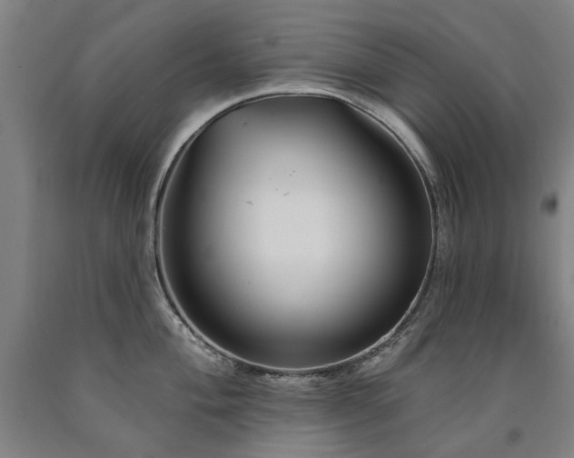 X0000090911004200707301430