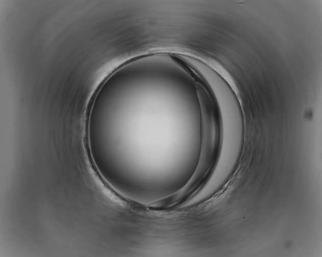 X0000090911005200707301430