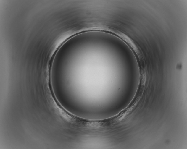 X0000090911006200707301430