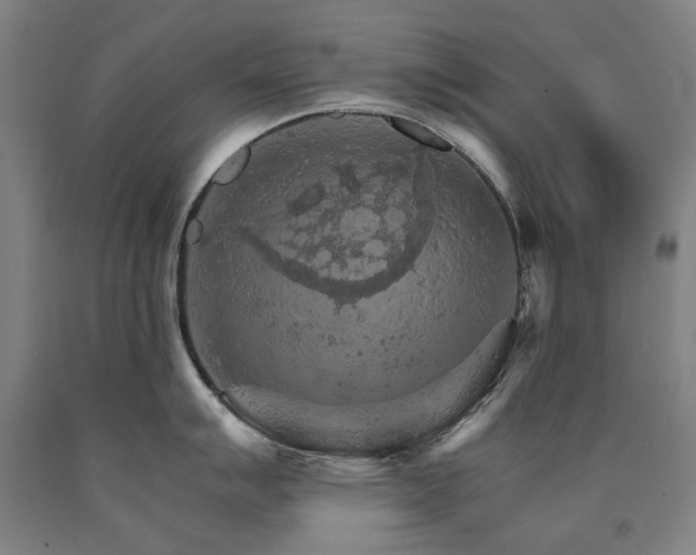 X0000090911007200707301430