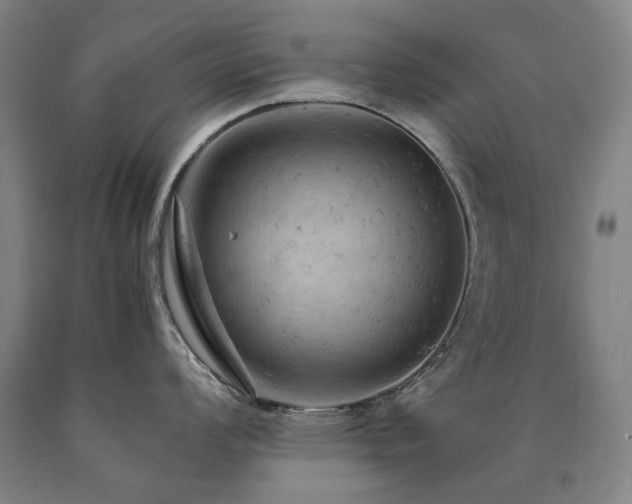 X0000090911008200707301430