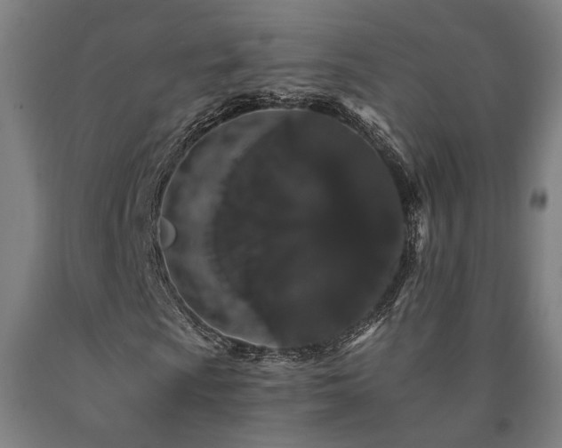 X0000090911009200707301429