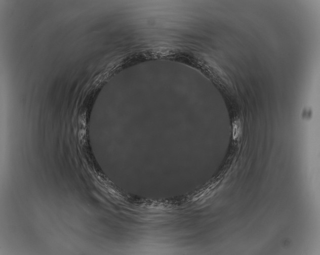 X0000090911011200707301429