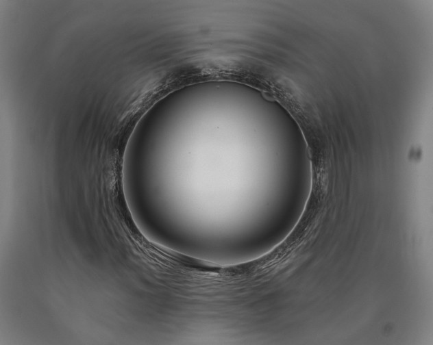 X0000090911012200707301429