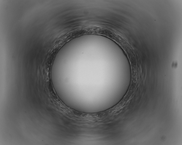X0000090911013200707301429