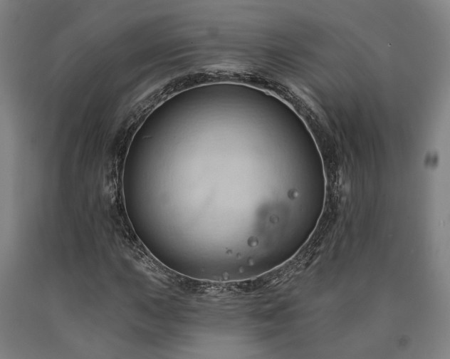 X0000090911015200707301429