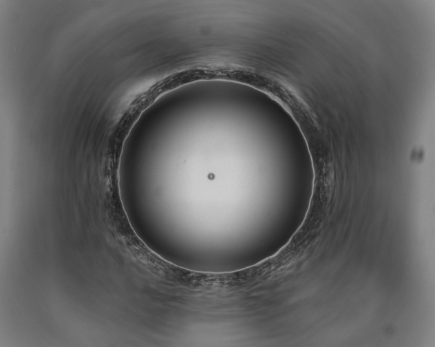 X0000090911016200707301429
