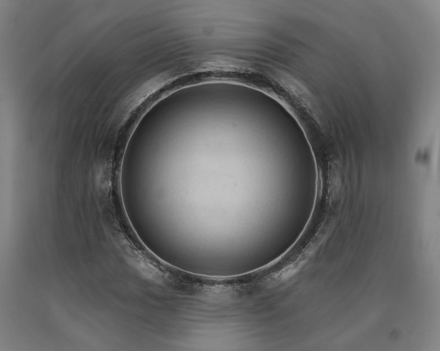 X0000090911017200707301429
