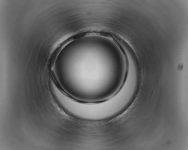 X0000090911018200707301429