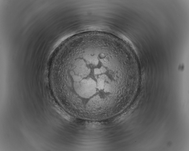 X0000090911019200707301429