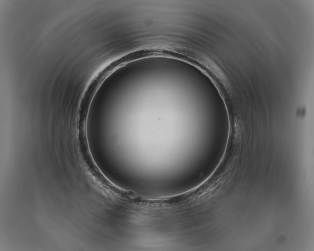 X0000090911020200707301429