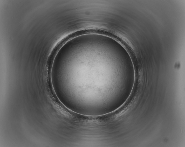 X0000090911021200707301429