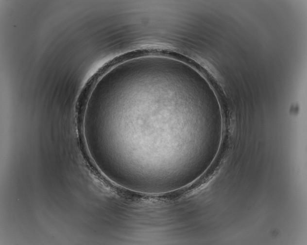 X0000090911022200707301429