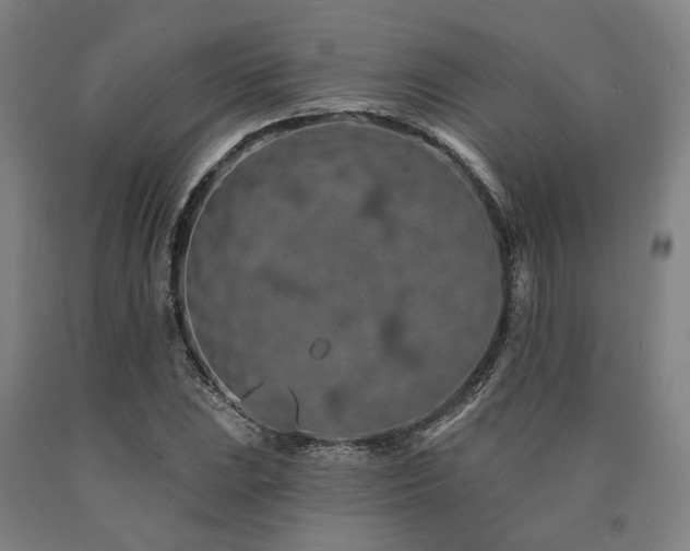 X0000090911023200707301429